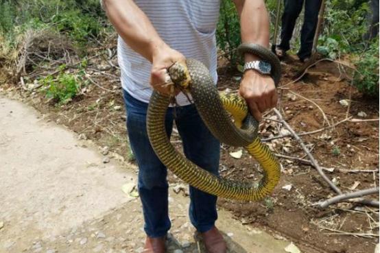 河南，沃土之上的无限魅力画卷🌟🌱